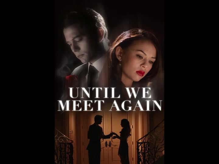 until-we-meet-again-tt2574538-1