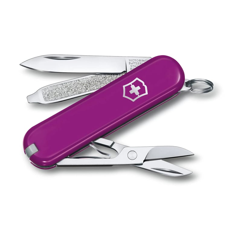 victorinox-0622352g-classic-sd-tasty-grape-1