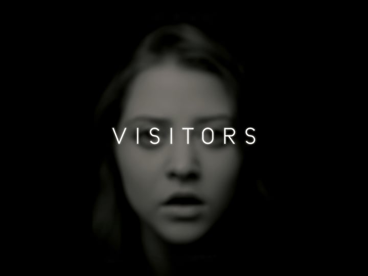 visitors-943624-1