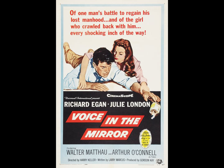 voice-in-the-mirror-tt0052373-1
