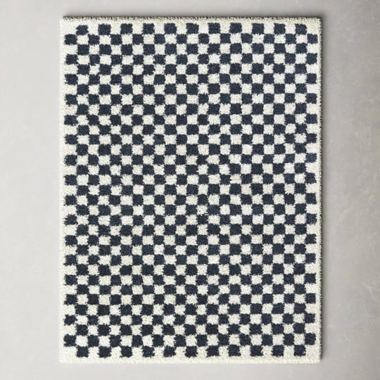 walker-checkered-navy-blue-white-shag-area-rug-allmodern-rug-size-rectangle-53-x-7-1