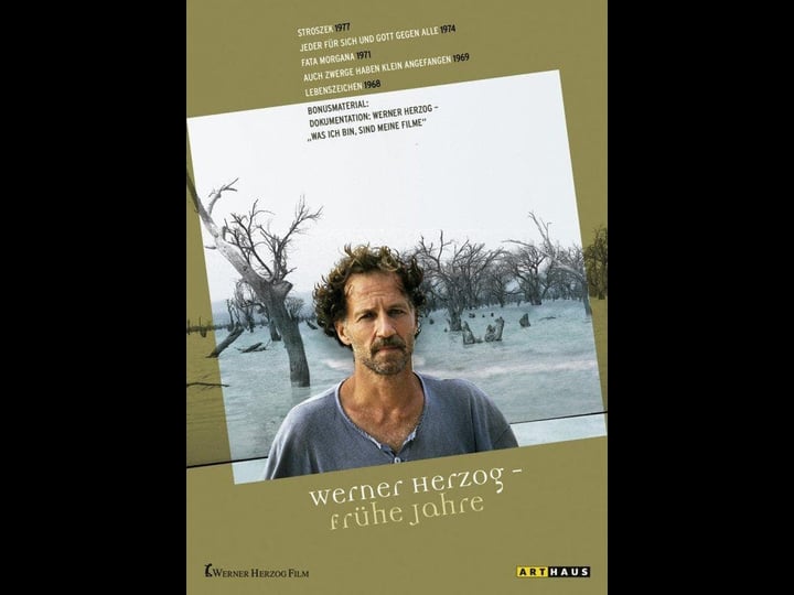 was-ich-bin-sind-meine-filme-teil-2-nach-30-jahren-tt2646218-1