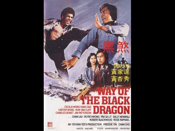 way-of-the-black-dragon-4399280-1