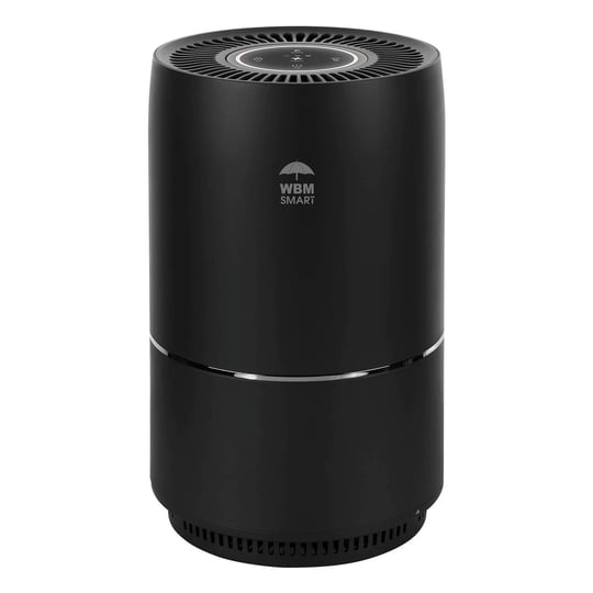 wbm-smart-hepa-filter-air-purifier-for-allergies-and-pets-dust-mold-and-pollen-smoke-and-odor-elimin-1