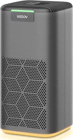 welov-air-purifiers-for-home-large-room-h13-hepa-air-purifiers-for-pet-allergy-1570-sq-ft-coverage-a-1