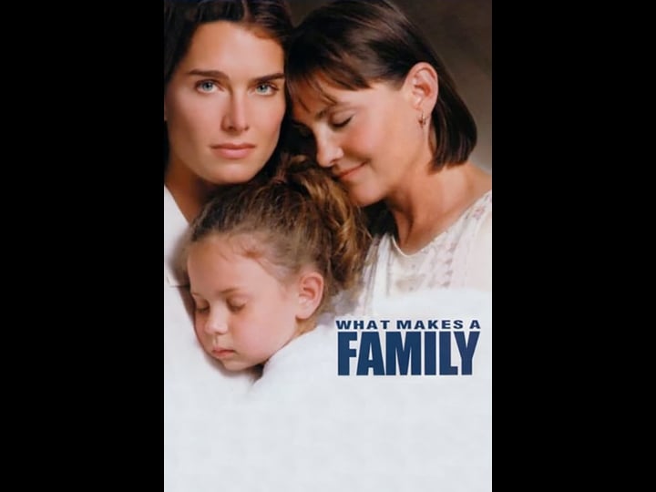 what-makes-a-family-tt0251474-1