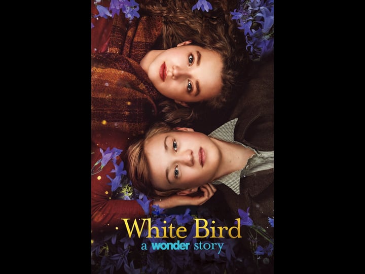 white-bird-4361926-1