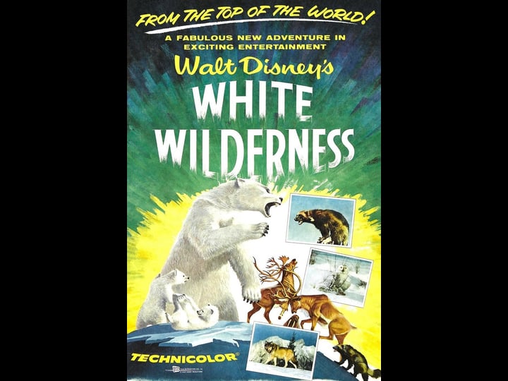 white-wilderness-1323009-1