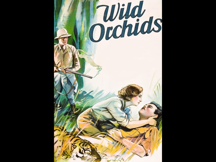 wild-orchids-1505523-1
