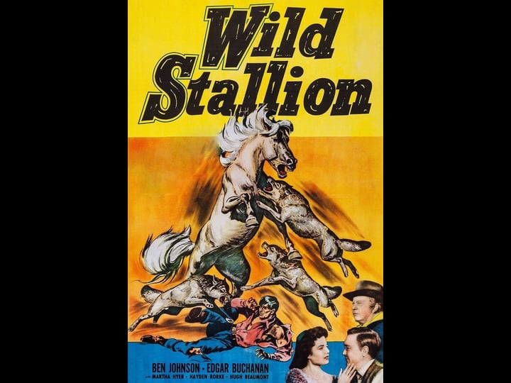 wild-stallion-tt0045330-1