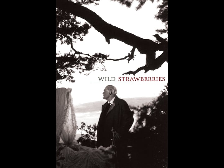 wild-strawberries-tt0050986-1