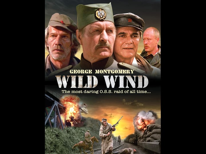 wild-wind-tt0090946-1