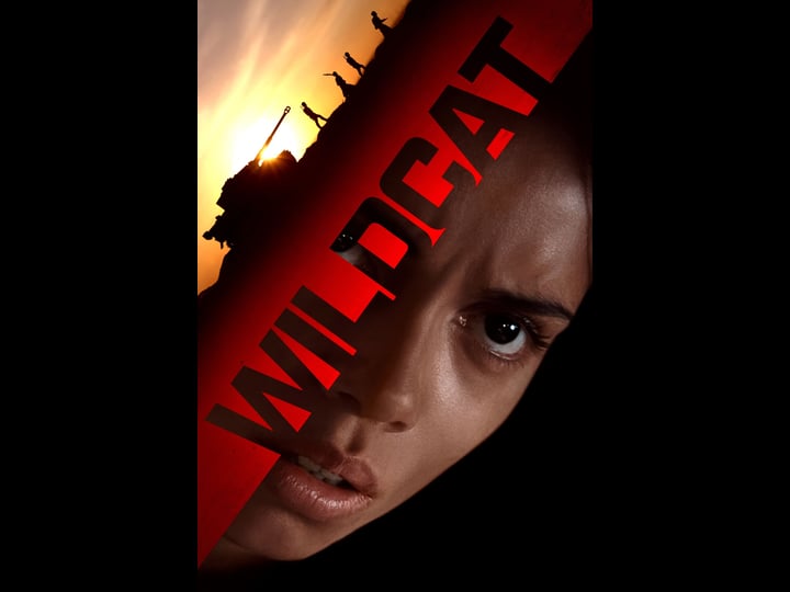 wildcat-tt9645476-1