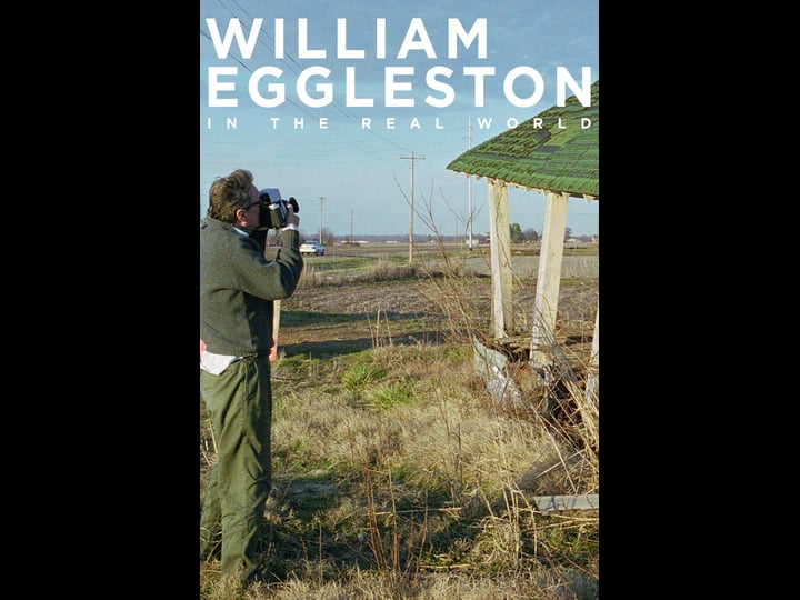 william-eggleston-in-the-real-world-tt0443698-1