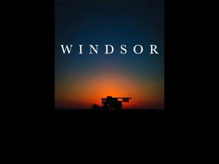 windsor-tt3701460-1