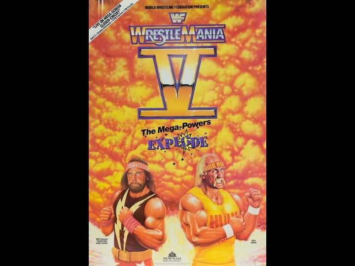 wrestlemania-v-tt0232966-1