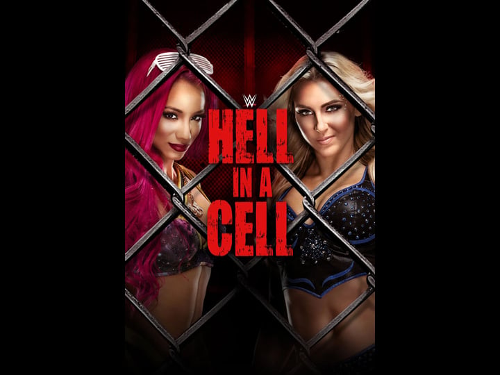 wwe-hell-in-a-cell-4318937-1