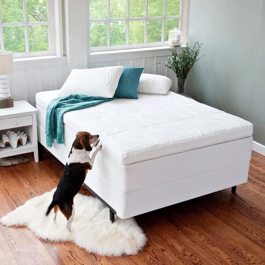 zinus-night-therapy-4-pressure-relief-memory-foam-topper-twin-1
