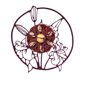 Pavoni Floreale - PAVONİ