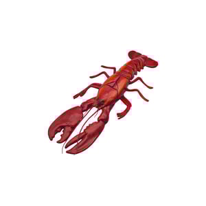 Yapay Istakoz Byk 5-6 - KLT