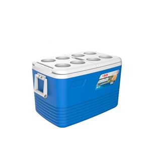 Kale 60 lt Ice Box Buzluk - KALE