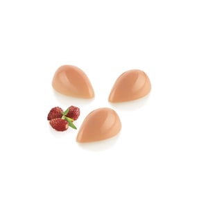 Silikomart Praline Çikolata Kalıbı Ch038 52.938.86.0165 - SİLİKOMART