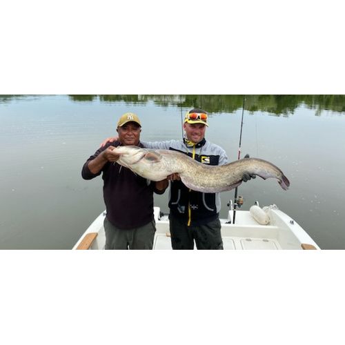 Captures d'écran : Hélix 9