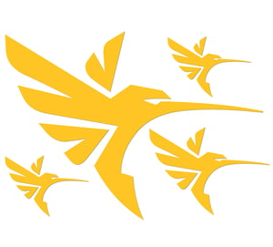 Planche comptant 4 transferts COLIBRI Humminbird