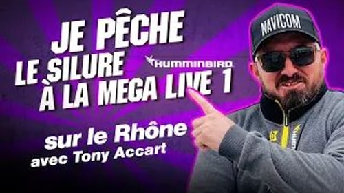 Silure en Verticale sur le Rhône : Tony Dompte les silures en Conditions Difficiles !