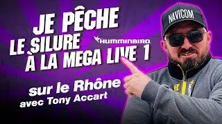 Silure en Verticale sur le Rhône : Tony Dompte les silures en Conditions Difficiles !
