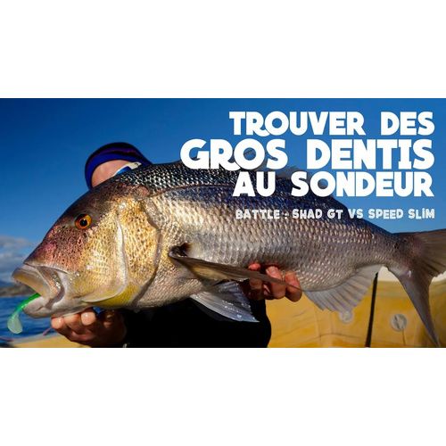 Trouver des Gros Dentis au sondeur