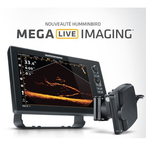 NEW ! MEGA LIVE IMAGING HUMMINBIRD