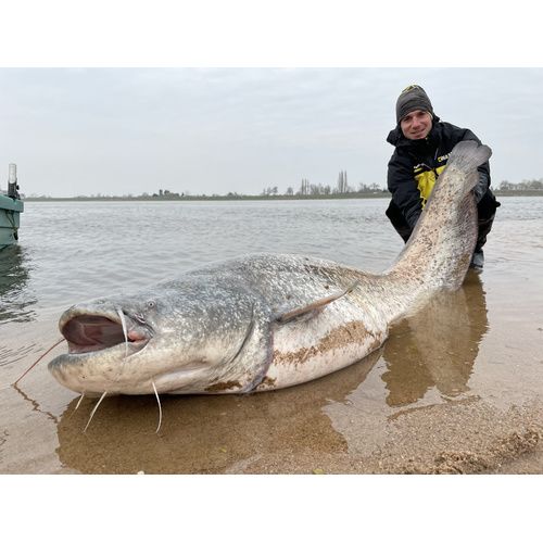 Captures d'écran de Silures au Mega Side Imaging +  by Maxime Albert