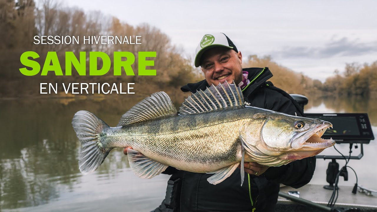 Le SANDRE en VERTICALE dans les STRUCTURES