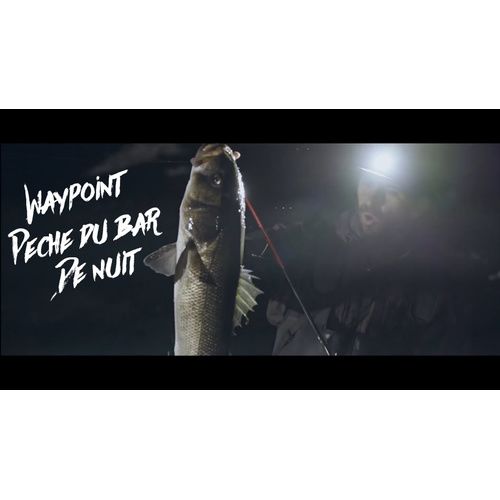 PÊCHE DU BAR DE NUIT / WAYPOINT 2