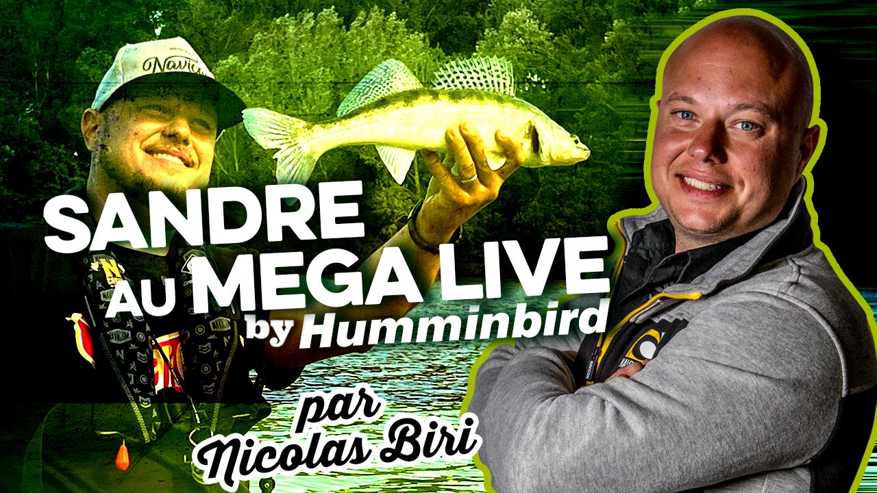 Pêche au sandre avec Nicolas Biri
