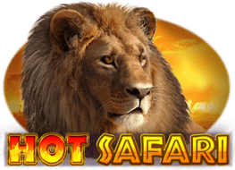 Hot Safari