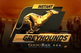 Instant Dog6 High Odds