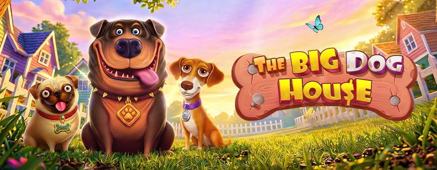 The big dog house