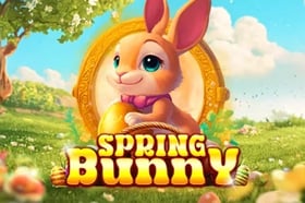 Spring Bunny