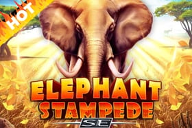 Elephant Stampede SE