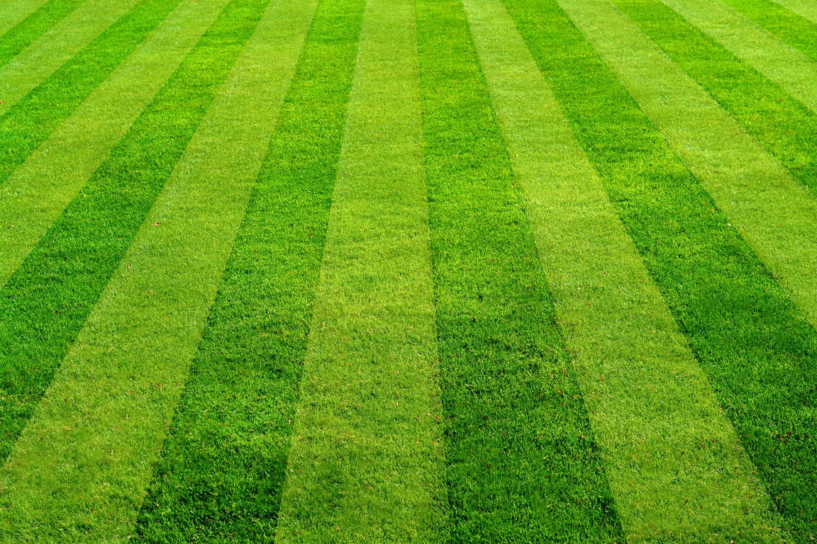 Lawn Care in New Albany, IN