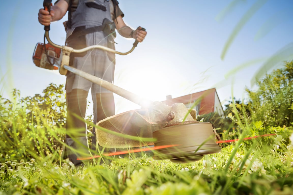 Lawn Care in St. Louis, MO