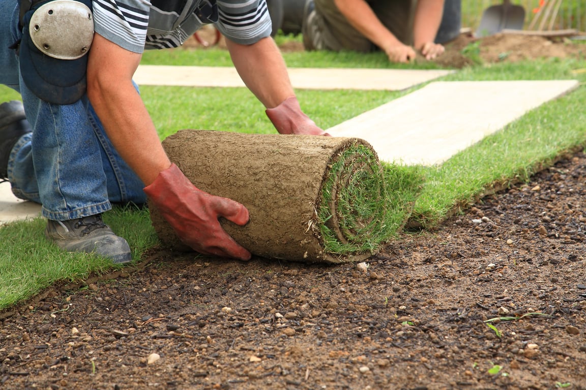 Landscaping: It's More Than Just Mowing the Lawn