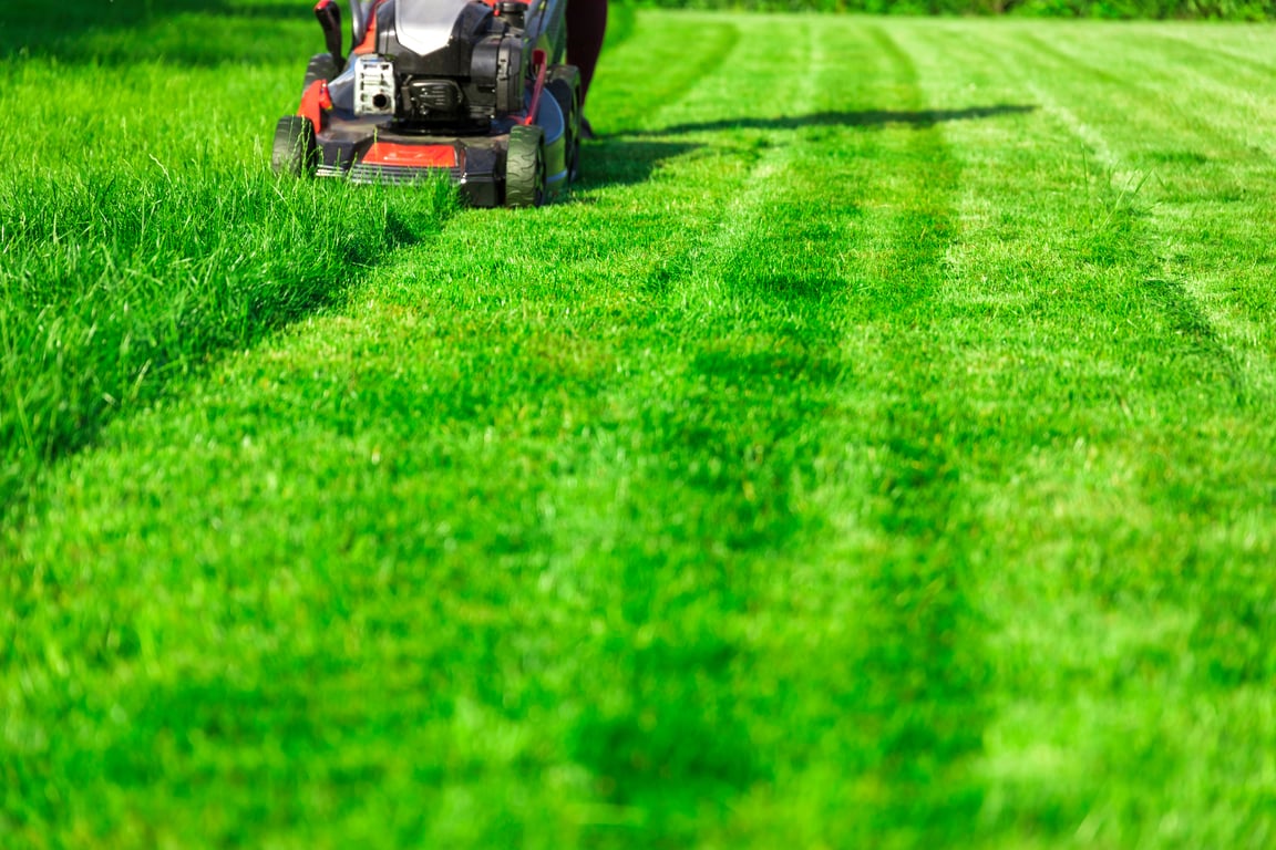 Lawn Care in Indianapolis, IN