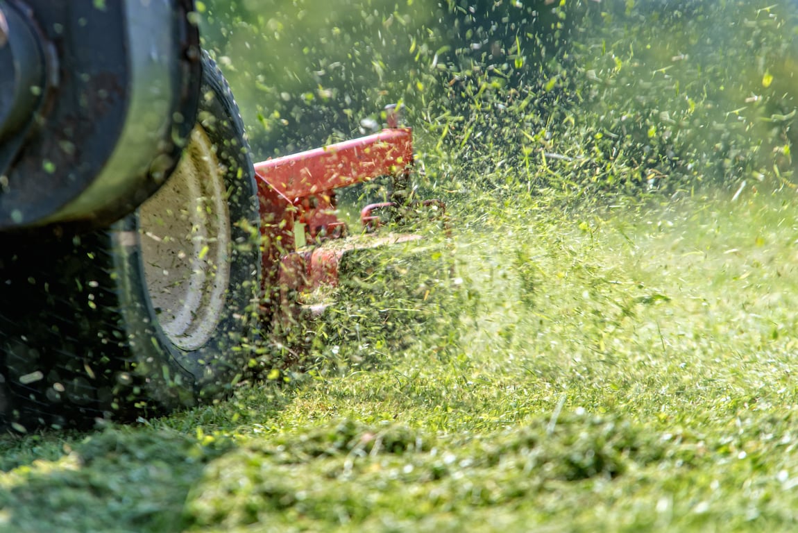 Lawn Care: Tips and Tricks for Elkin, NC