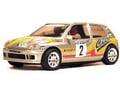 Renault Clio Campeon Rallyes