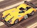 Panoz LMP 01 n8