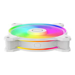 MFL-B2DW-21NP2-R23