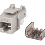 Conector Jack Keystone CAT6A FastPunch Intellinet 772341 Gris